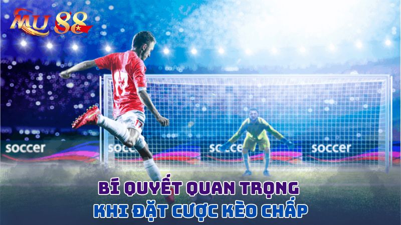 Bí quyết quan trọng khi đặt cược kèo chấp