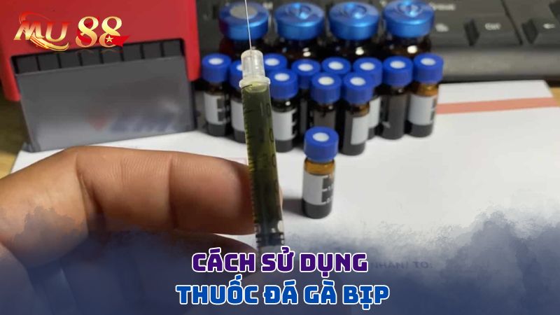 Cách sử dụng thuốc đá gà bịp