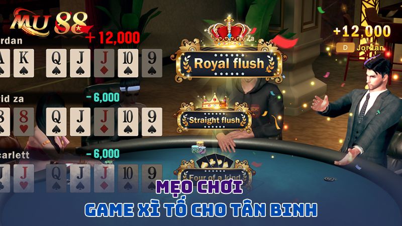 Mẹo chơi game xì tố cho tân binh